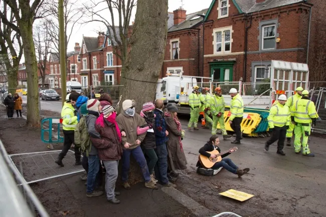 Sheffield Tree Action Group