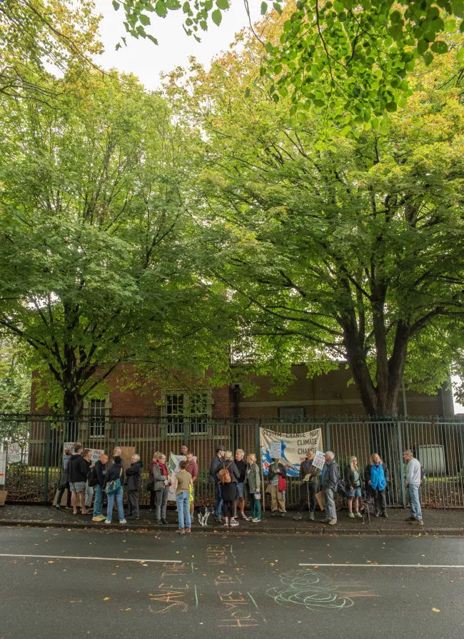 Trees in a conservation area