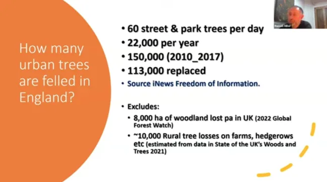 Annual tree losses are quite shocking