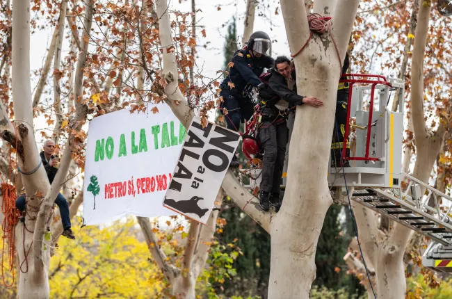 Police officers grab a climate activist during a protest by No a la Tala (No to Felling) in Arganzuela park, in Madrid Río.