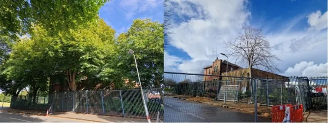 Before and after