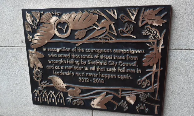 The plaque