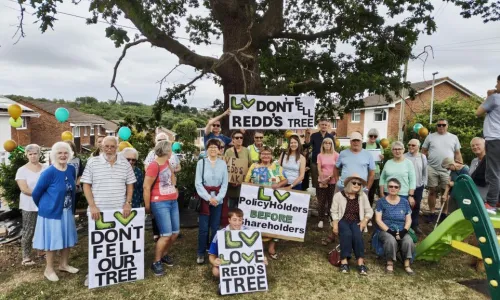 The community rally to save the tree