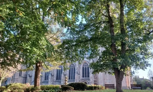 The work would involve felling several trees, some 200 years old